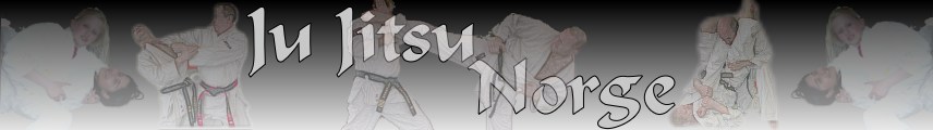 Logo: Ju Jitsu Norway - leading Norwegian ju jitsu and self-defence!